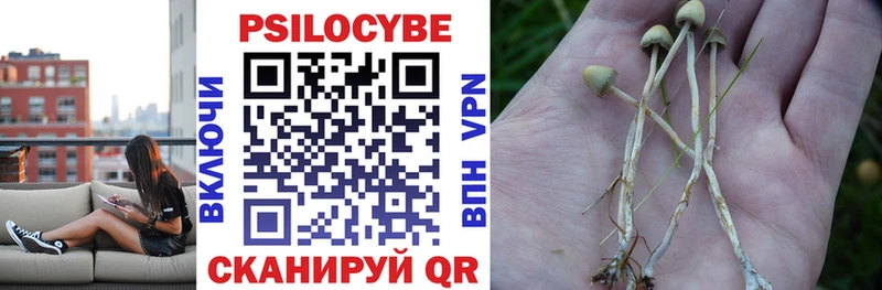 MEGA рабочий сайт Кораблино Галлюциногенные грибы Psilocybe где можно купить наркотик